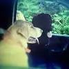 bradstoddard - @bradstoddard - TikTok