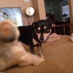 Brad Stratton - @cosmostratton - Instagram