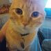 Brad Strauss - Facebook
