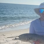 Bradan Strauss - @bradan_strauss - Instagram