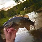 Brad Straw - @brad.straw.54 - Instagram