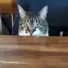 Brad Strawn686 - @bradstrawn7 - TikTok