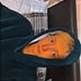 Bradley Straw - Facebook