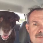 Brad Stricklin - @stricklinbrad - Instagram