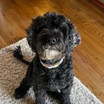 Brad Sumner - @wbsumner - Instagram