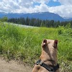 Brad Sumner-Montgomerie - @evogargoyle - Instagram