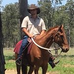 Brad Sutherland - @the_brumby_bloke - Instagram