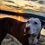 Brad Sweeney - @_sickusername - Instagram