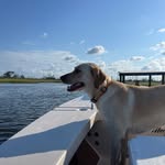 Brad Taunton - @bradtaunton - Instagram