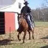 Terry artistiic154 - @terry.bradley2 - TikTok