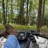 brady - @brady.thistle - TikTok