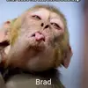 Brad Tilley810 - @bradtilley810 - TikTok