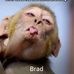 Brad Tilley - Facebook