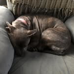 BPT - @brady_tilton124 - Instagram