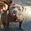 Brady Tilton - @brady.tilton - TikTok