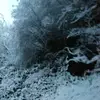 bradyntollefson - @bradyntollefson - TikTok