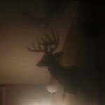 brad tolley - @bubbu750 - Instagram