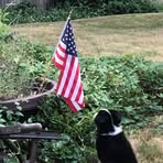 Brad Tracy - Facebook