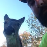 Brad Travis - @btrav1 - Instagram
