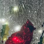 Brad Tripp - @brad.tripp.58 - Instagram