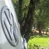 bt - @bradtripp49 - TikTok