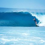 Brad Troy - @bradjtroy - Instagram