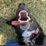 Brad Tyner - @brad.tyner.54 - Instagram