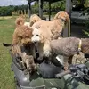 Brad Wicker - @david.wicker2 - TikTok