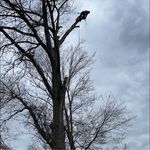 Brad Wiegand - @brad.wiegand.56 - Instagram