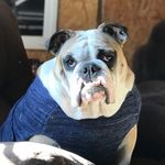 Brad Wiegand - @bwieg74 - Instagram