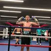 bradwillettsboxing - @bradwillettsboxing - TikTok