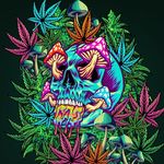 Brad Willey - @bradwilley - Instagram