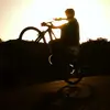 bradwilley - @bradwilley - TikTok