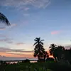 B_Rad2895 - @bradyarbrough0 - TikTok