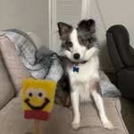 Braden adams - @braden.adams69 - Instagram