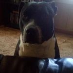 Braden Adams - @bradenadams361 - Instagram