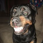 Braden Bishop - @bradenbishop14 - Instagram