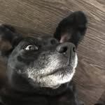 Braden - @braden_campbell_ - Instagram