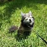 Braden Campbell - @campbell2soups - Instagram