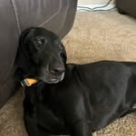 Braden Campbell - @bcamp2222 - Instagram