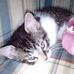 Braden Mayer - Facebook