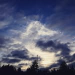 Braden Norman - @itesbeblu - Instagram