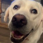 Braden Ryan - @braden_ryan567 - Instagram