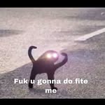 @bradensimpson0 - Instagram