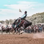 Braden Wallace - Facebook