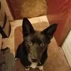 Brad Nelson - @user456224850 - TikTok
