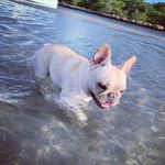 Bradford Young - @bradfordyoung - Instagram
