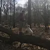 bradleyabbott802 - @bradleyabbott802 - TikTok