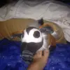 brady.armitage - @brady.armitage - TikTok