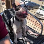 Bradley R.M. Bacon - @bacon936 - Instagram